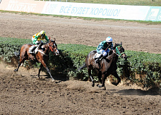 Скачки на Кубок губернатора