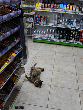 Погуляем, поснимаем – 5