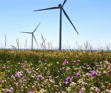На Марченской ВЭС в Зимовниковском районе установили все ветряки