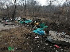 Что не показали губернатору чиновники