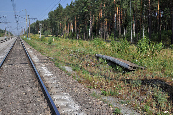 Два пивных завода обнаружили около железной дороги в Таганроге