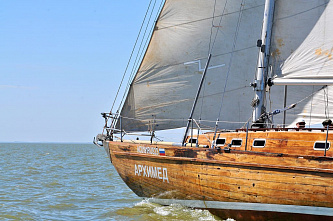 В Таганроге прошла Чеховская регата «Чайка»