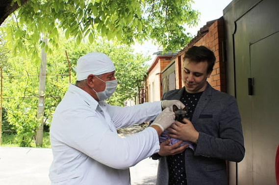 Фото пресс-службы Ростовской областной станции по борьбе с болезнями животных