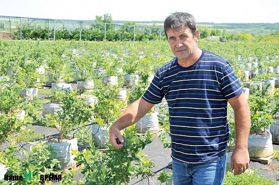 Александр ГОНЧАРЕНКО на своей ферме проводит целые дни — здесь же и работает, и отдыхает. Особенно любит встречать гостей, которым с увлечением рассказывает о своем деле.