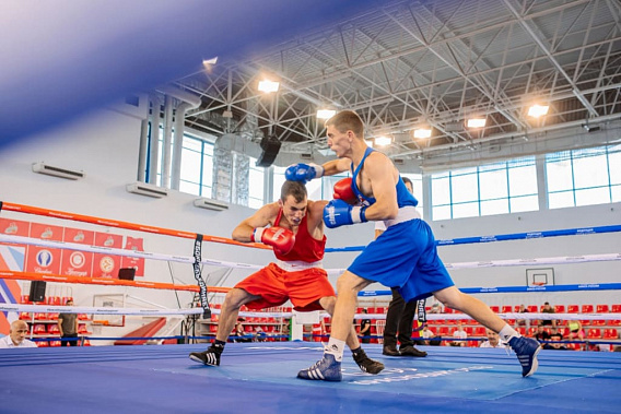 Донские боксеры завоевали награды чемпионата ЮФО