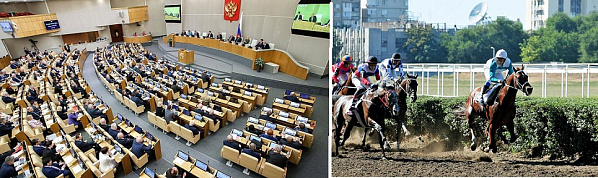 Судьба Ростовского ипподрома оказалась в центре внимания депутатов Госдумы.