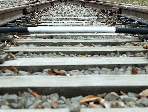 На донской станции под поезд попал мужчина в наушниках