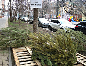 Лень и ель...