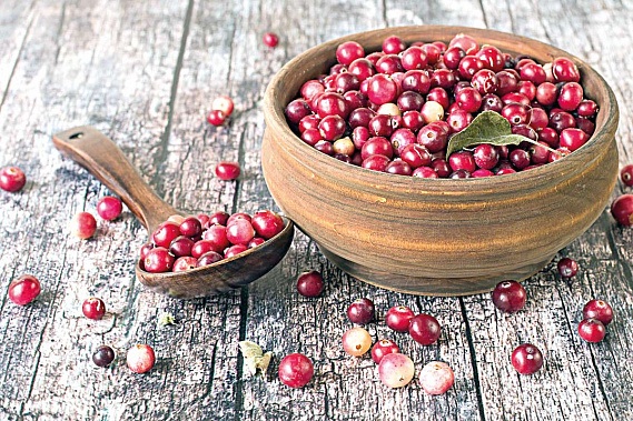 Полезная для сосудов клюква