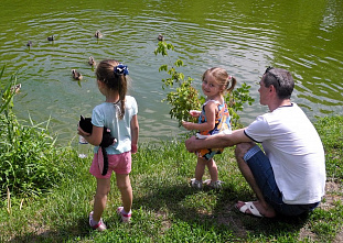 Просто хороший день