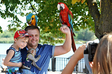 Ростов-на-Дону празднует