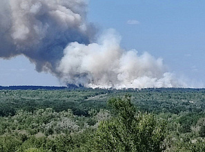 Ландшафтный пожар, вспыхнувший вчера в Каменском районе, потушен