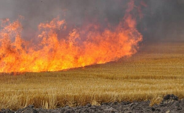 В Красносулинском районе во время пожара мужчина погиб от удара тока
