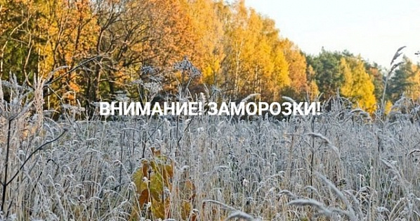  Следите за прогнозом погоды: совсем скоро на Дону ожидаются заморозки