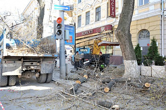 Налогоплательщик желает знать…_21390