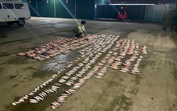 Ночной улов браконьера. Источник фото: Погрануправление ФСБ по Ростовской области.