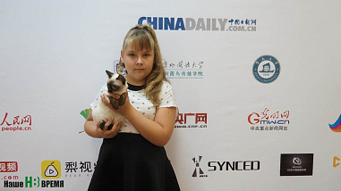 Как кошки-крошки звездами стали