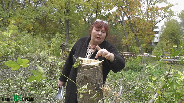 Инженер горуправления ЖКХ по озеленению Ирина ЗУБОВА: «Диагностику состояния деревьев проводим визуально. На инструменты средств нет».