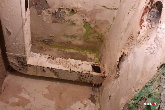 Фото сайта 161.ru