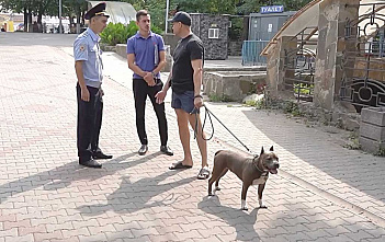 В Ростове по поручению главы администрации города Алексея Логвиненко усилили контроль за соблюдением правил выгула собак