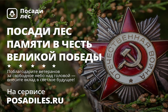Посади «Лес памяти», не выходя из дома
