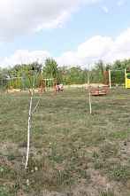 Засохли березки…