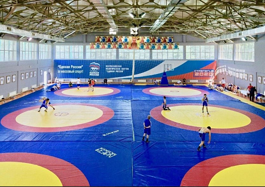 Донские борцы отличились на чемпионате ЮФО по вольной борьбе