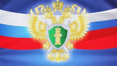 Авиарейсам дали паузу