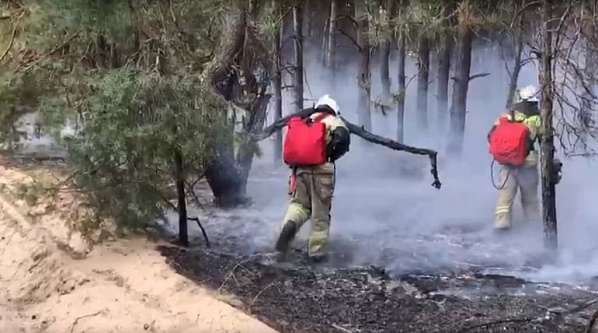 Установлена причина крупного пожара в Цимлянском районе