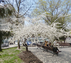 Погуляем, поснимаем – 6