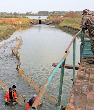 Сегодня поздравления принимают работники и ветераны рыбной отрасли