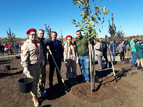 Заложили Сад Победы 