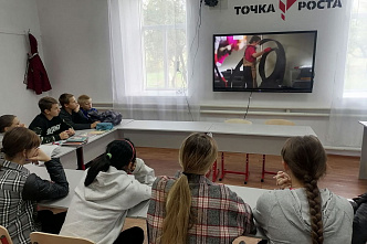 В Ростовской области дистанционно пройдет традиционный День профориентации