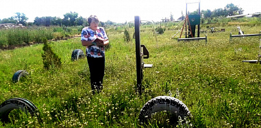 На Дону не докосили амброзии на 1,3 миллиона рублей