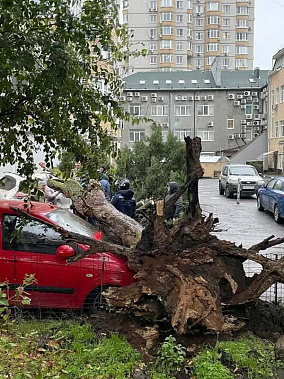 Фото из телеграм-канала 