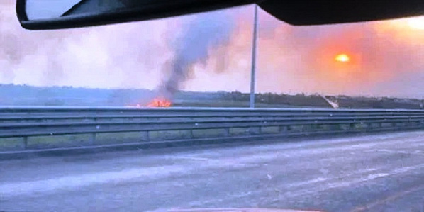 Пожар в пойме Дона близ Ростова. Источник фото: 1rnd.ru.