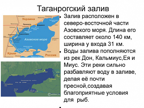 Меняется состав рыбной популяции в Таганрогском заливе