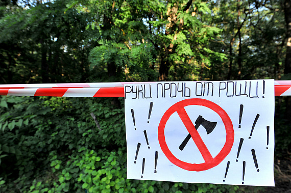 Роща СКА в Ростове передается на баланс муниципалитета