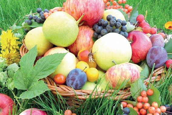 Конкурс «Вкусно, полезно, доступно»