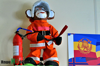 10 лет исполнилось противопожарной службе Дона