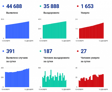 Коронавирус в Ростовской области: статистика на 13 декабря