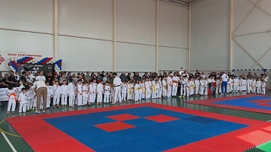 В Ростове прошел благотворительный турнир по спортивной дисциплине косики карате-до