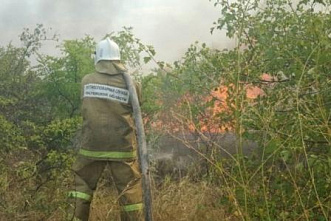 Ландшафтный пожар под Ростовом потушили с трудом