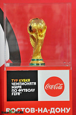 Кубок мира гостит на Дону