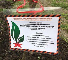 Аллея памяти появилась в станице Ольгинской