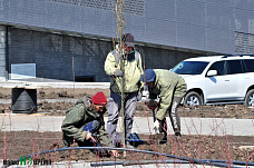 Фотохроники: Таганрог в самоизоляции, 7 апреля 2020 года