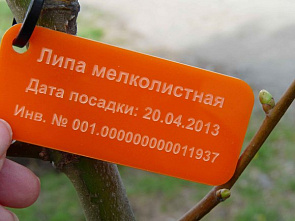 Налогоплательщик желает знать…_21393