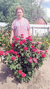 Розы – любимые цветы казачки Ли-ди-у.