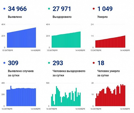 Коронавирус в Ростовской области: статистика за 14 ноября