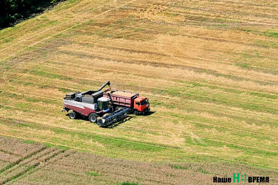 Первые 100 тысяч тонн масличных культур собрали на Дону